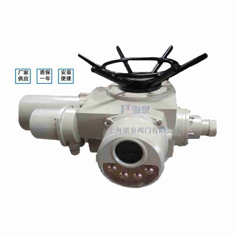 閥門電動裝置（dzw05,10,20，30,45,60，90,12