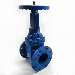 手動(dòng)閘閥Z41T-16 DN50/DN65廠家直銷，上海發(fā)