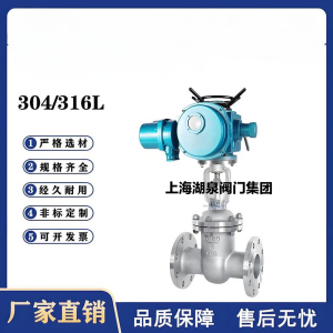 Z941W-16P，DN250，CF8/F304不銹鋼電動(dòng)閘閥